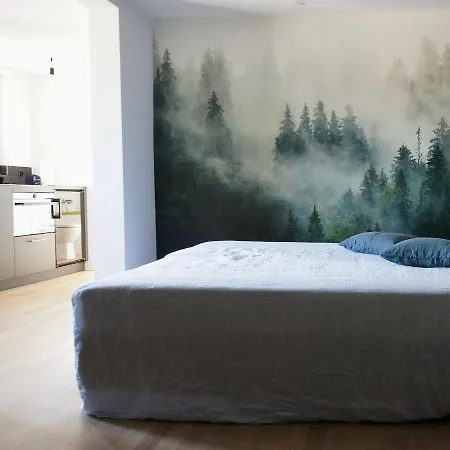 Ni Fravi Apartments, West Appartamento Interlaken