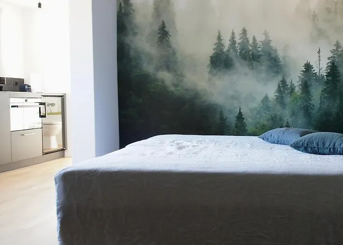 Ni Fravi Apartments, West Apartament Interlaken